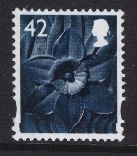 W102 xw66 42p daffodil - w102,