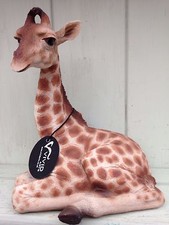Baby Giraffe NEW Vivid Arts