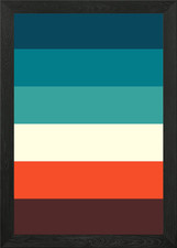 Peacock Salmon Color Framed