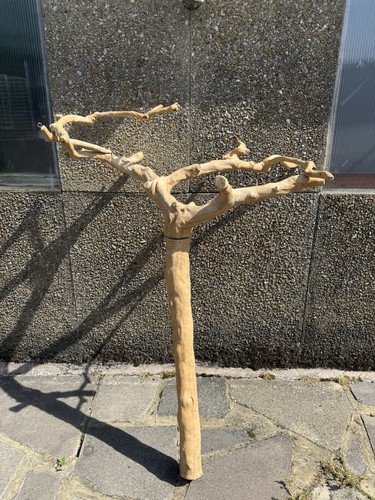 Java wood branch bird perch - wood,