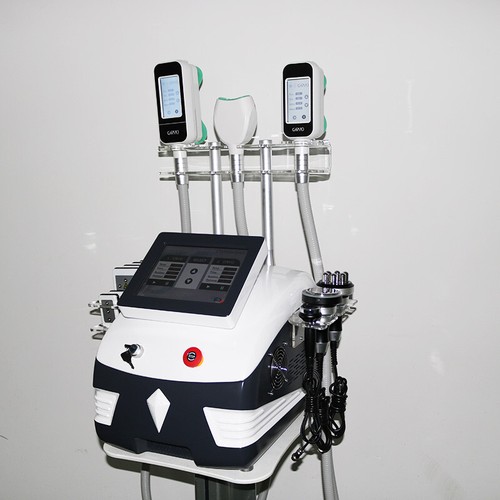360 cryolipolysis - in,