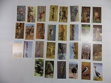Grandee Cigar Cigarette Cards