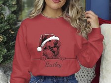 Golden Retriever Christmas Sweatshirt Personalised Dog Name Santa Gift Jumper
