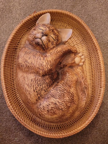 Vintage sleeping cat - sleeping,
