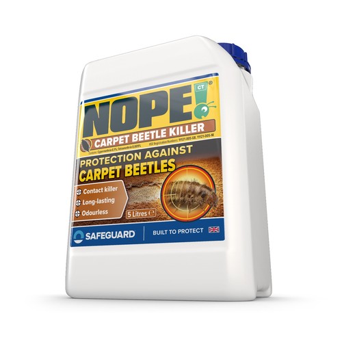Nope carpet beetle larvae - beetle,