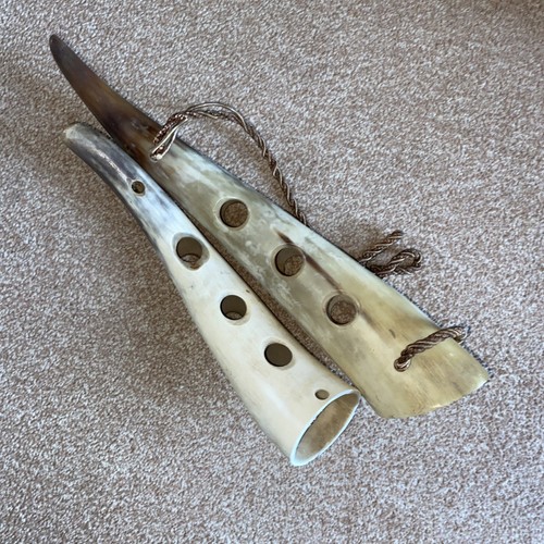 Cow bull horn vintage - cow/bull, 2