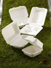 White Biodegradable Bagasse