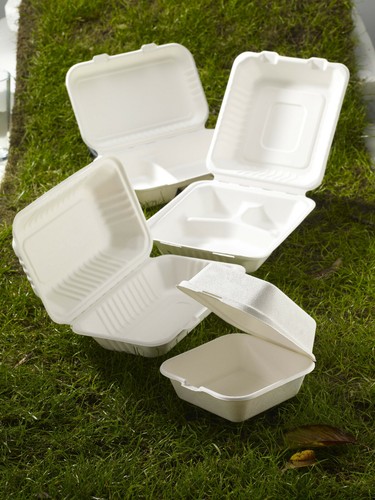 White biodegradable bagasse - white,