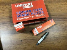 Austin Ambassador Princess