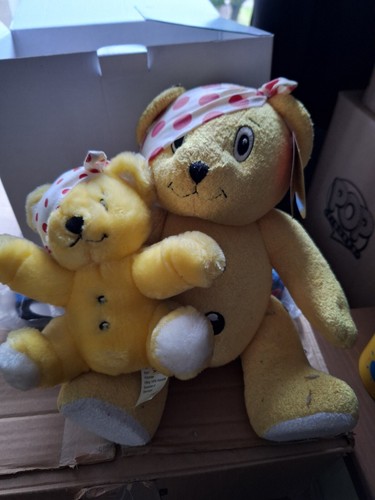 Children need pudsey - children, bear's