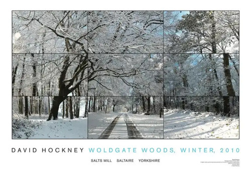 David hockney woldgate - david,