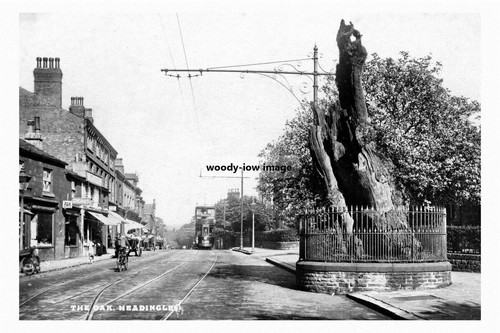Pt5797 headingley the oak - pt5797,
