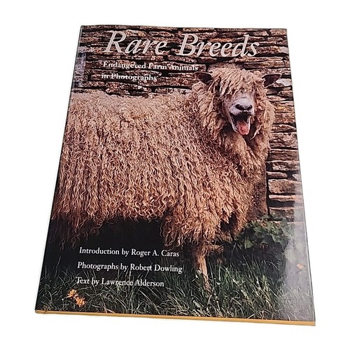 Rare breeds endangered - breeds,