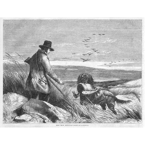 Richard ansdell wild duck - richard,