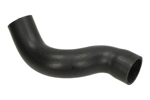 Transporter short nose - t4,
