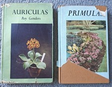 2 X Garden Book Club Auriculas