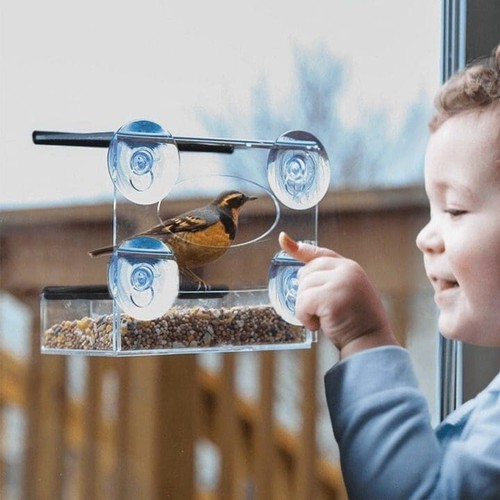 Window bird feeder - window,