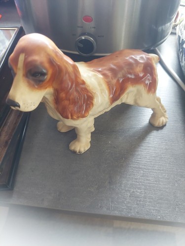 Vintage cocker spaniel - vintage,