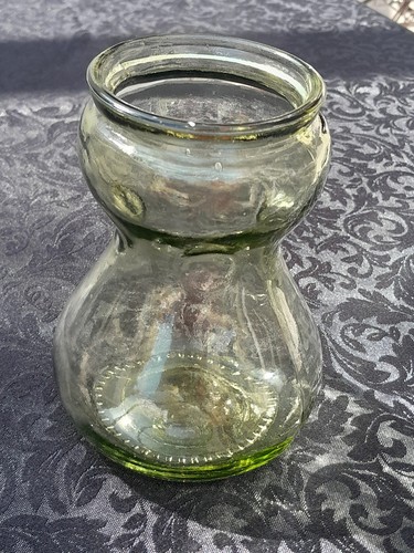 Vintage hyacinth bulb forcing - hyacinth,