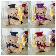 Cartoon Graduation Bear Soft