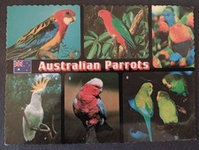 Bird Postcard, Australian