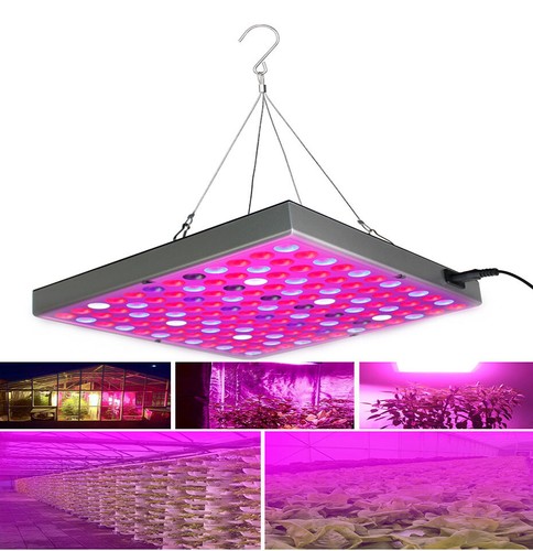 8000w led grow light - grow,