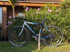 Giro D'Italia Viking Road Bike