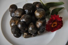 Fresh raw bee propolis - raw,