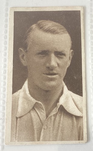 Hill 1923 sunripe - r,