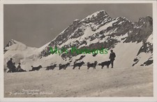 Switzerland Postcard - Dog
