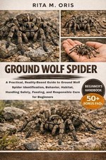 Ground Wolf Spider: A