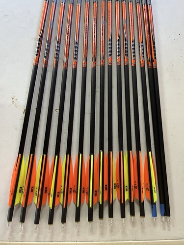 Easton triunph carbon arrows - triunph,