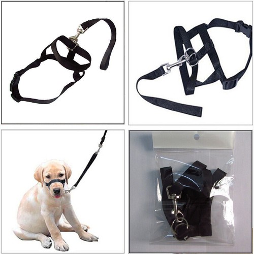 Dog puppy training halter - training,