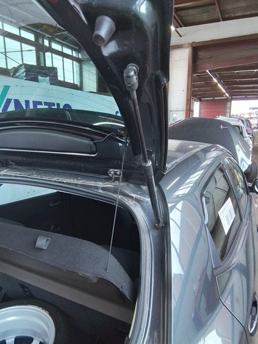 Boot tailgate support strut - tailgate,