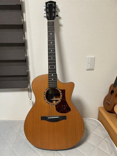 Acoustic guitar eastman - guitar,