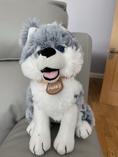 Husky plush soft toy