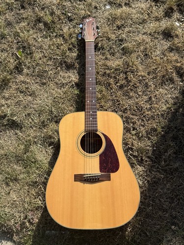 Fender 210 acoustic guitar - f-210,