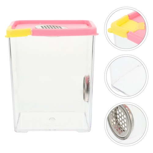 Jumping spider enclosure - jumping,