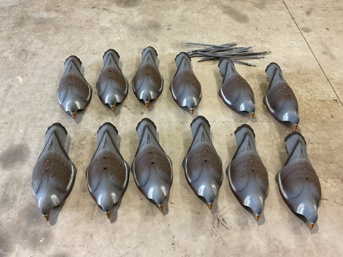 Shooting pigeon decoys half - shooting,