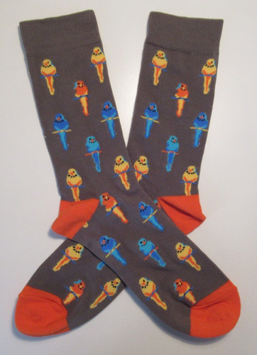 Budgerigar budgie socks pair - budgerigar,