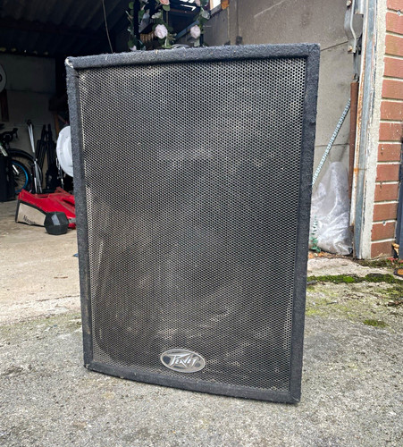 Peavey pro 15in passive - 15,
