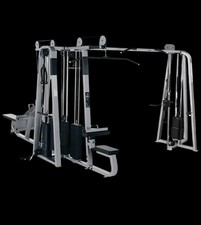 Precor Icarian 5 Stack Jungle