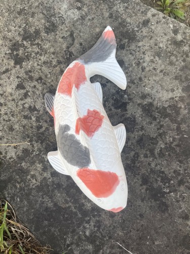 Large koi fish garden - fish,