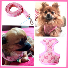 Xxxs xxs small breeds - xxs,