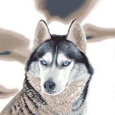 3D Animal Print Effect Mink