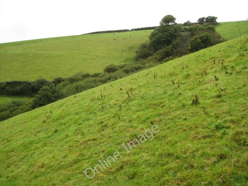 Photo 6x4 grazing land near - photo,