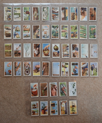 Wills cigarette cards garden - cigarette, cards: