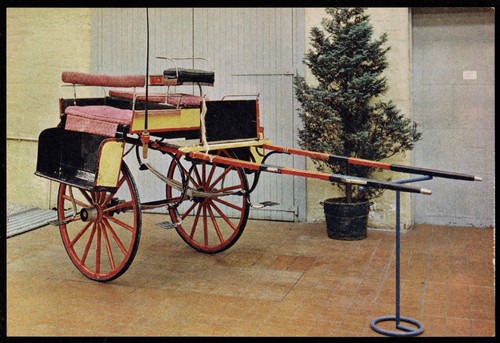 Irish jaunting car horse drawn - irish,