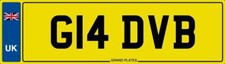 GLAD V8 NUMBER PLATE G14 DVB