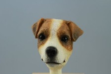 JACK RUSSELL BRN/WHITE  SMOOTH
